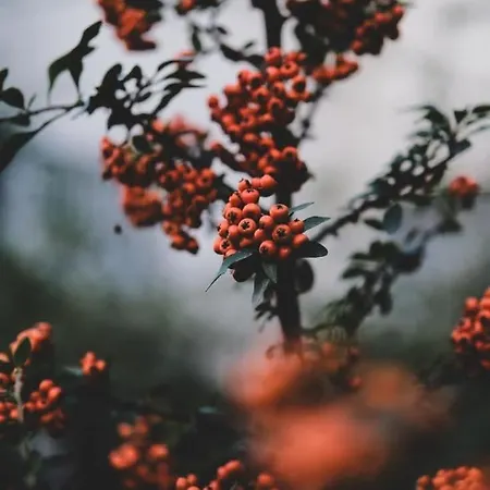 Zurawia Ostoja Dom Z Jacuzzi I Sauna Prázdninový dům