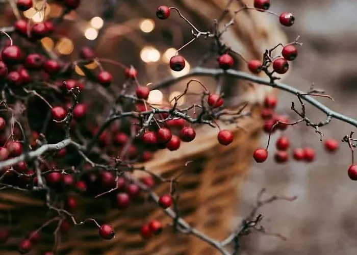 Dom wakacyjny żurawia Ostoja Dom Z Jacuzzi I Sauną Tylowo
